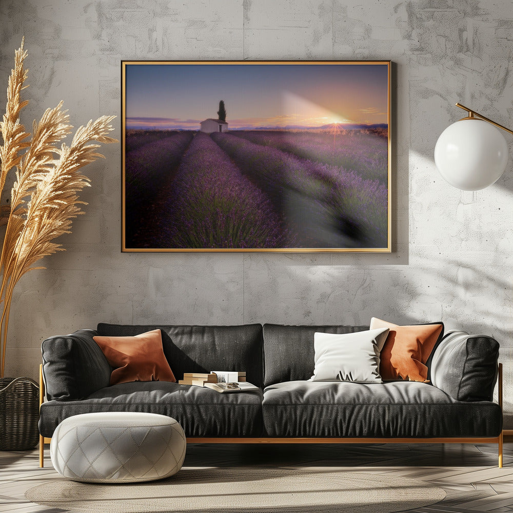 Provence Lavendel | Canvas