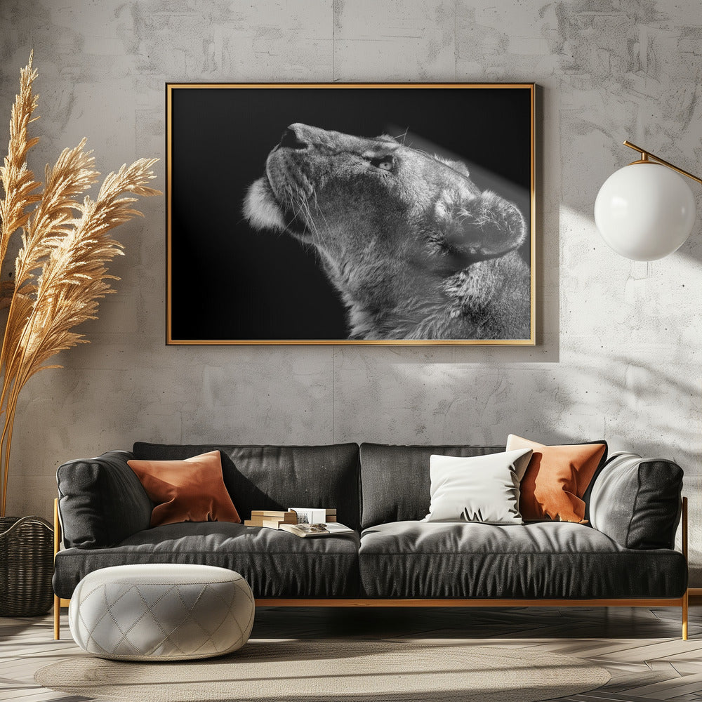 Omhoog kijken | Canvas