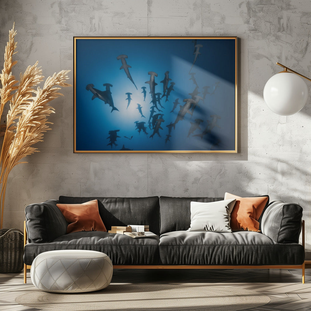 Hamerhaai - Onderwaterfotografie | Canvas
