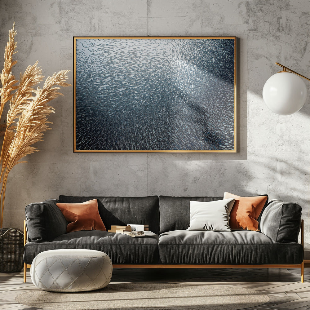 Sardientjesvuurwerk | Canvas