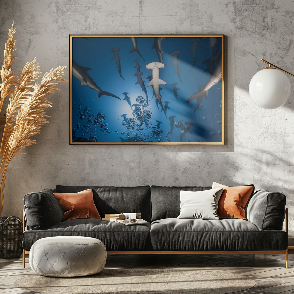 Hamerhaai | Canvas