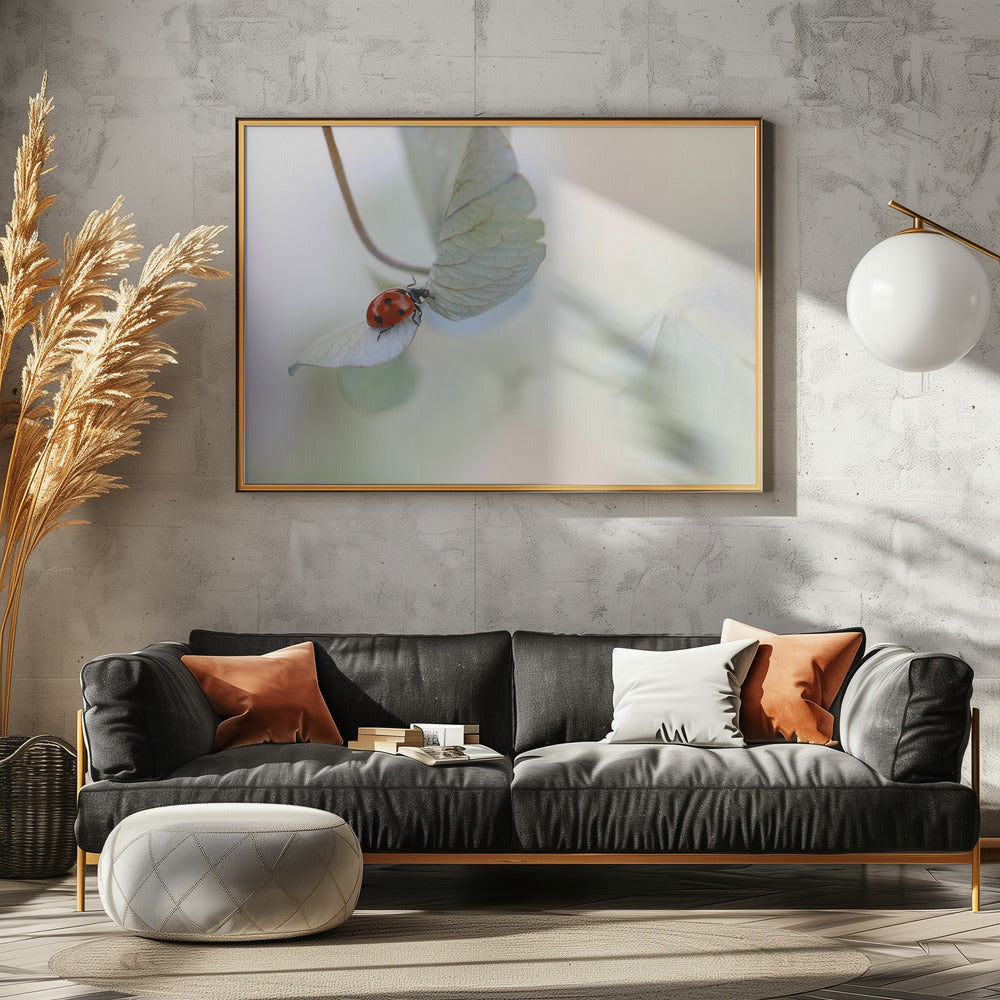 Lieveheersbeestje op blauwgroene hortensia | Poster