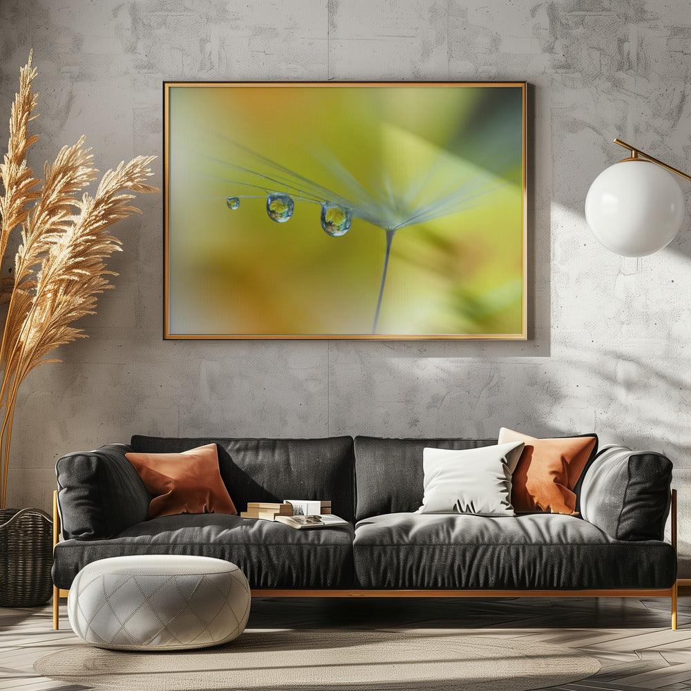 Zonnestraal...III | Canvas
