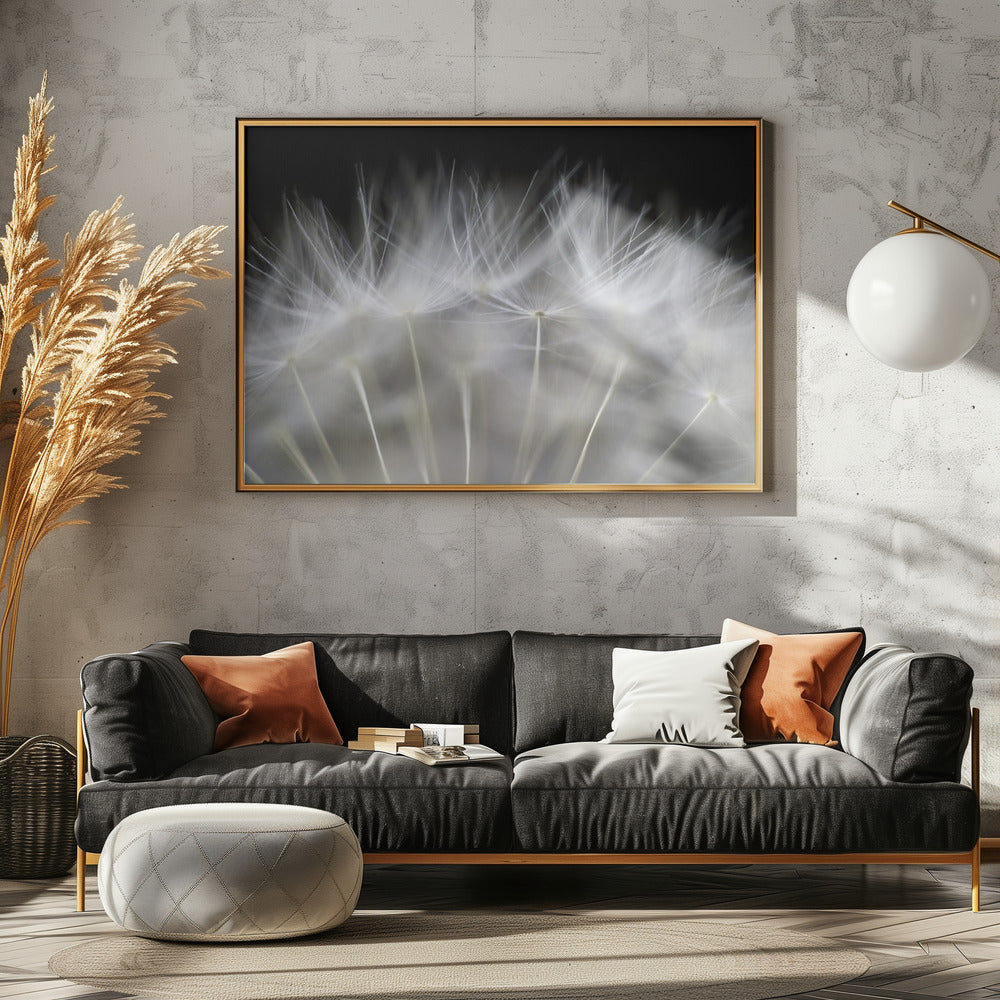 Blaas het op | Canvas