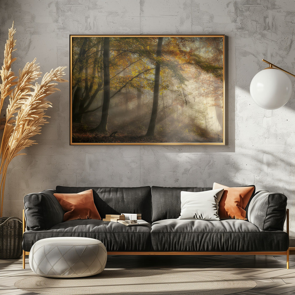 De lichten van het bos | Poster