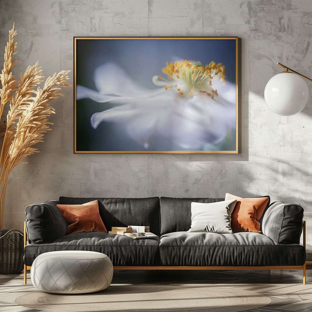 Anemoon 1 | Canvas