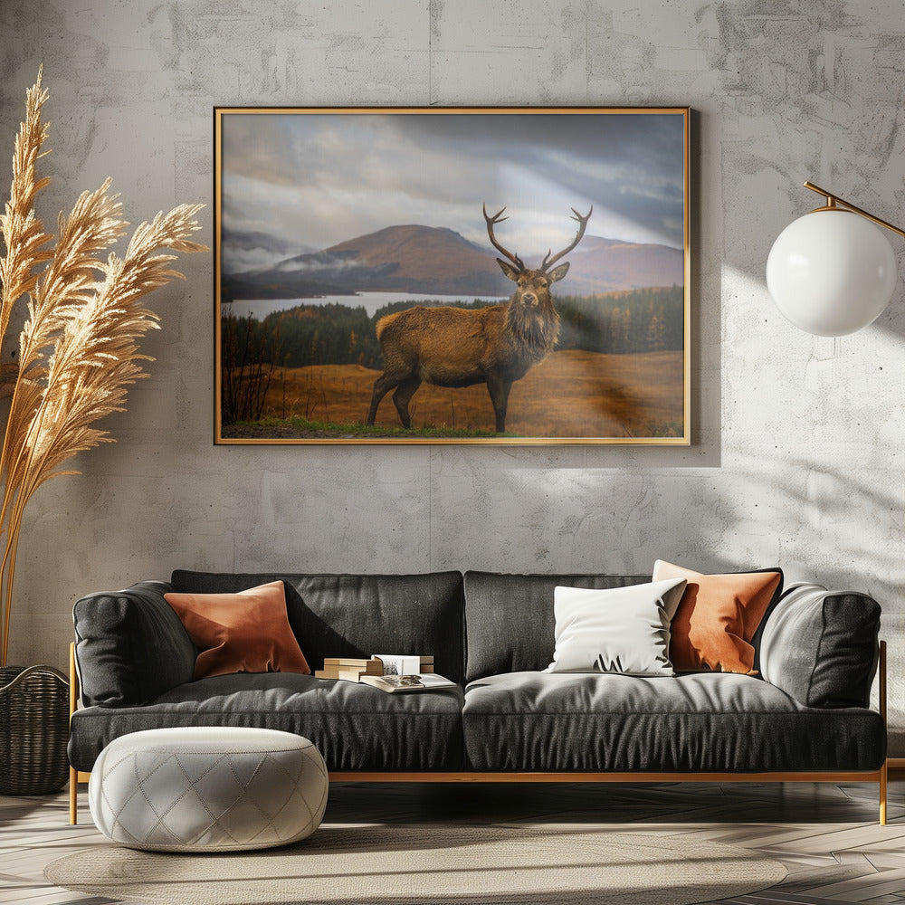 Schots hert | Canvas