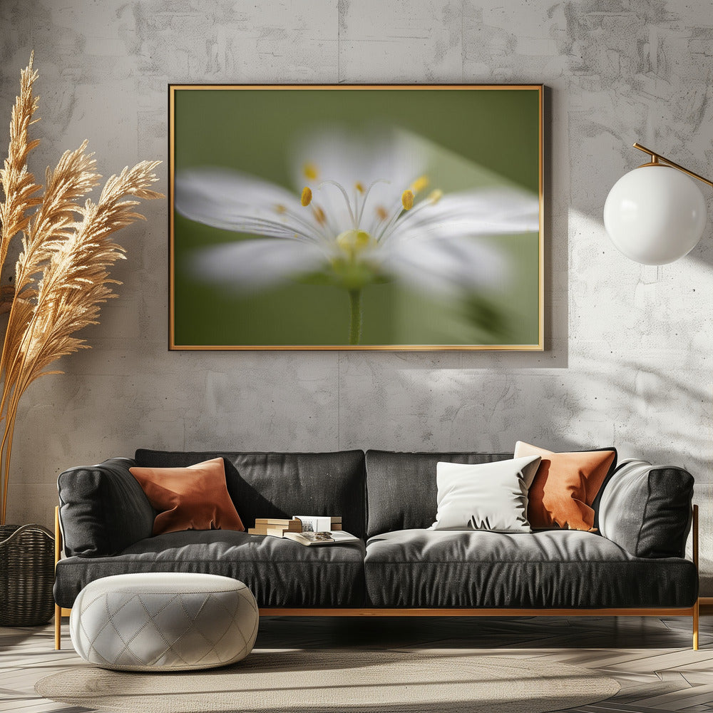 Zachtjes Stitchwort | Canvas