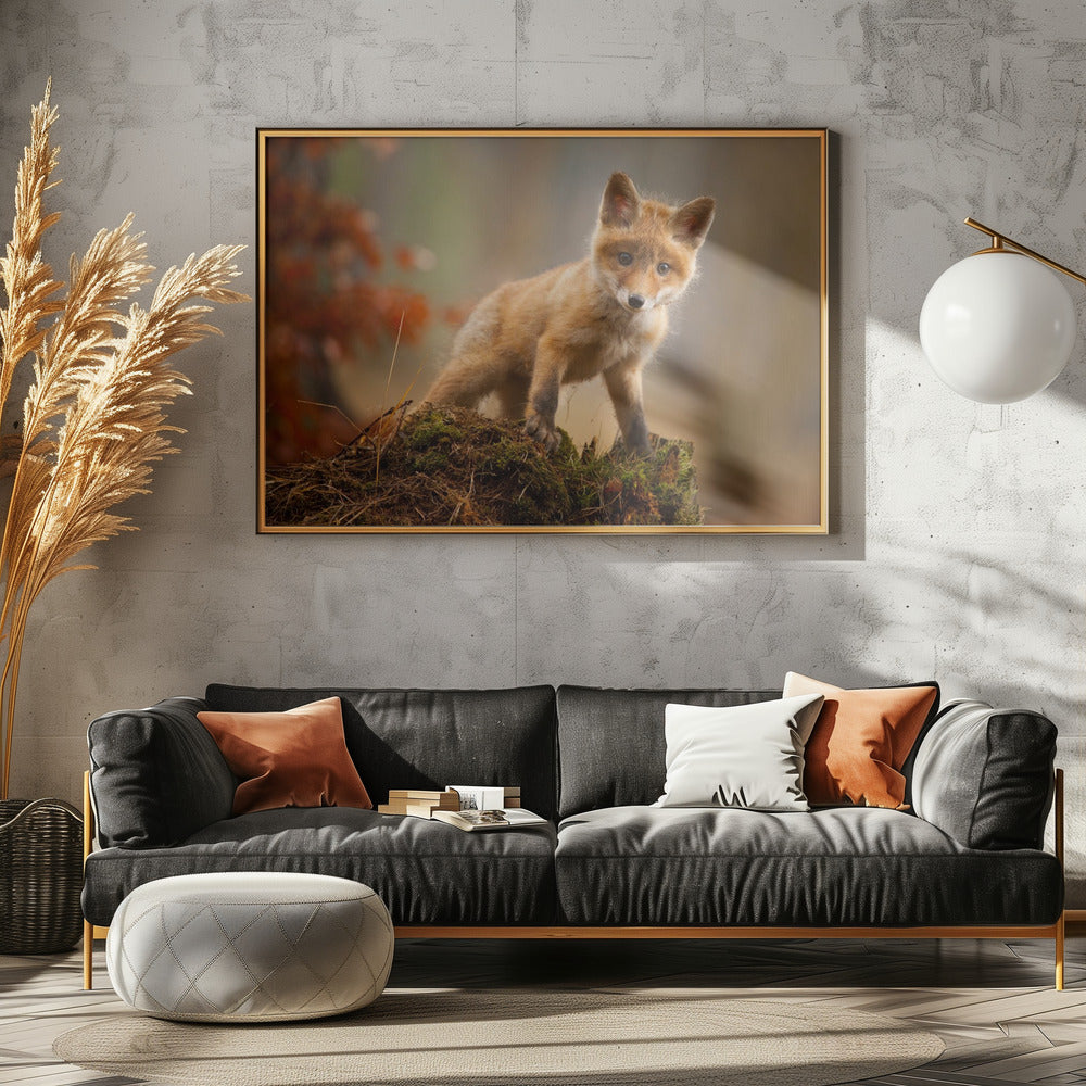 Vos | Canvas