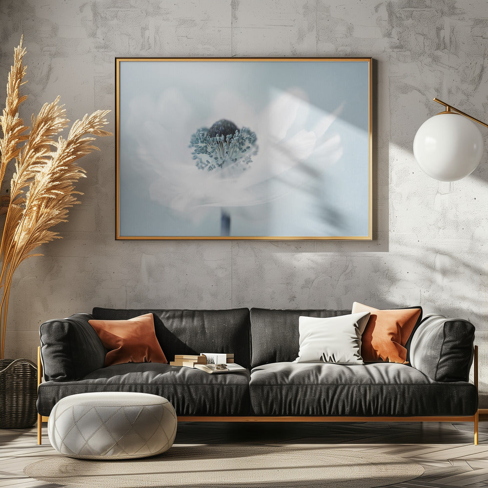 Suikerspin | Poster
