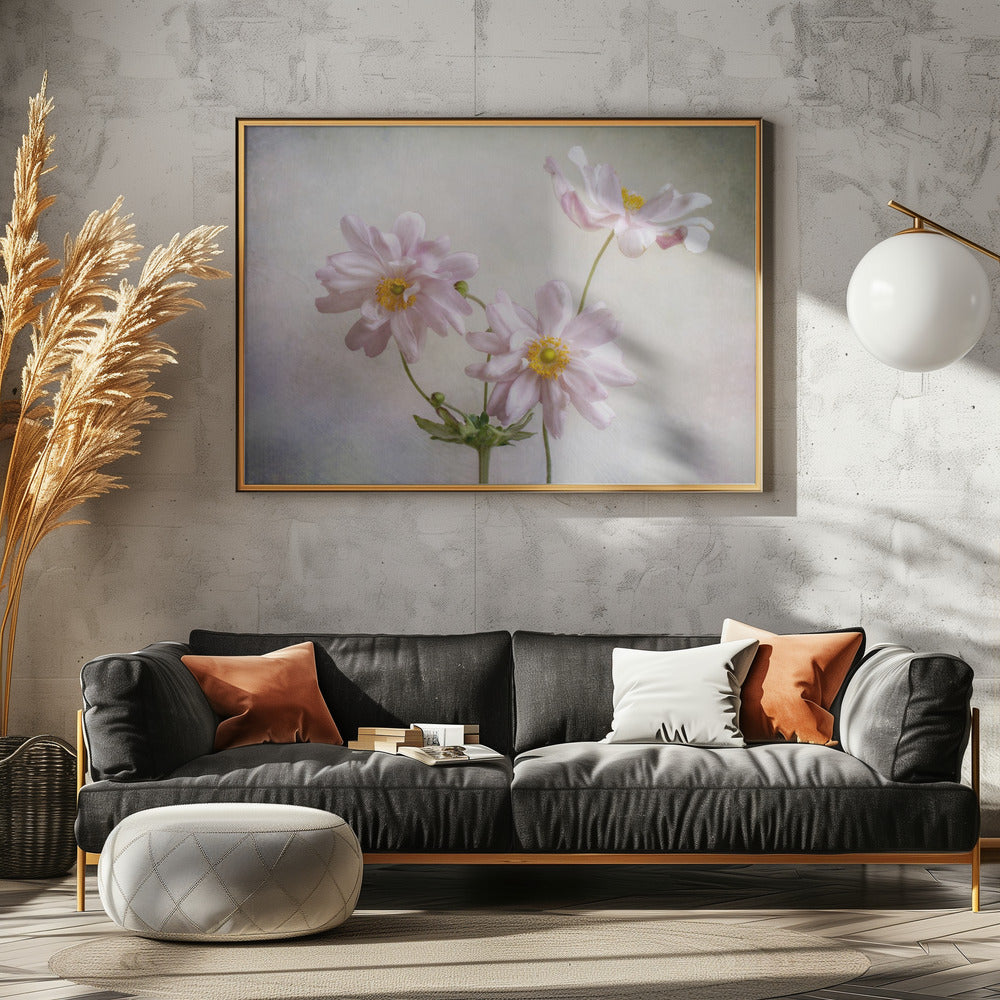 Anemonen | Canvas