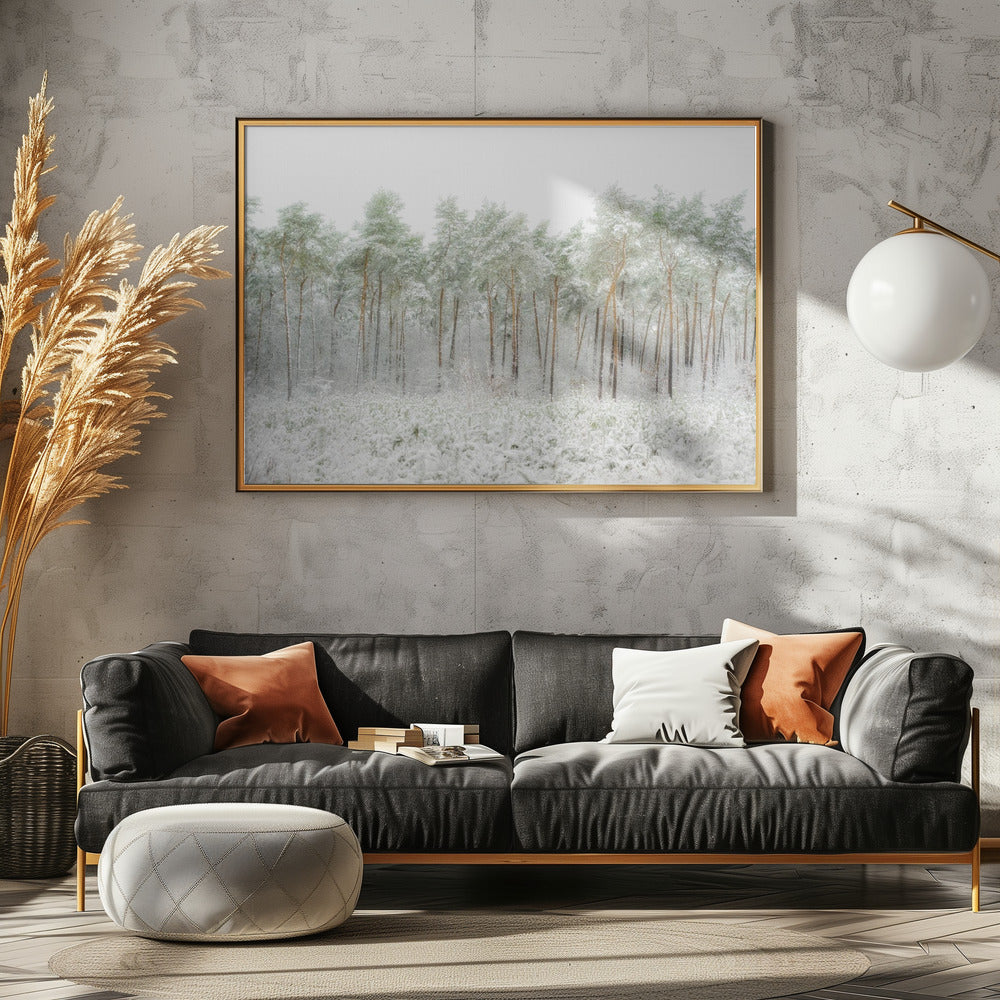 Snow world | Poster
