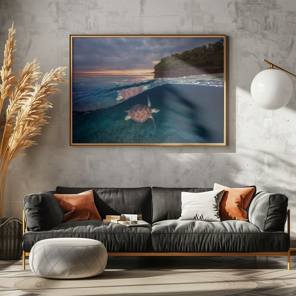 Groene schildpad met zonsondergang | Canvas