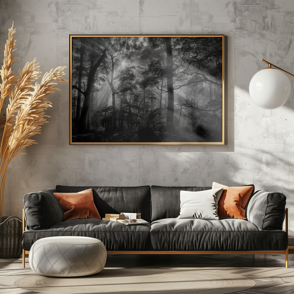 Primary forest | Canvas