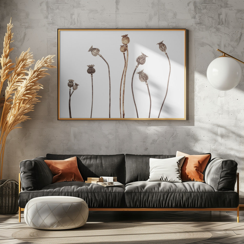 Klaprozen | Canvas