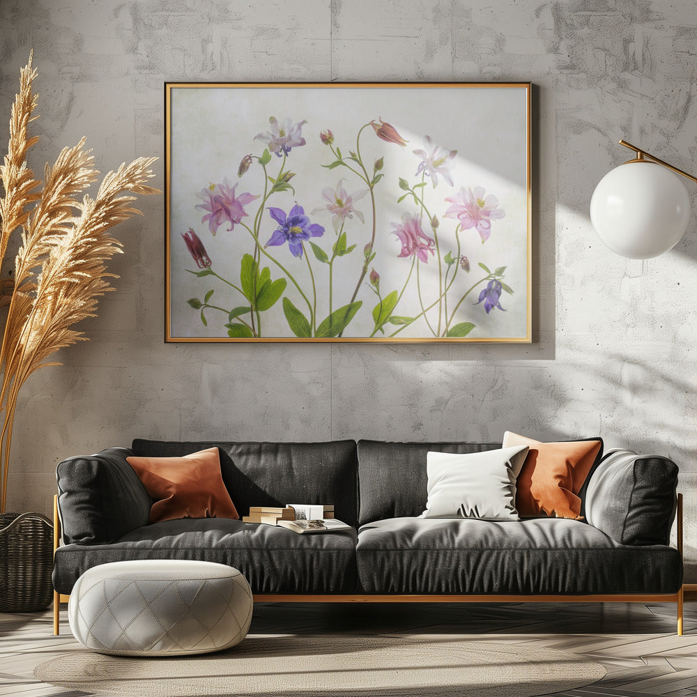 Columbine | Canvas