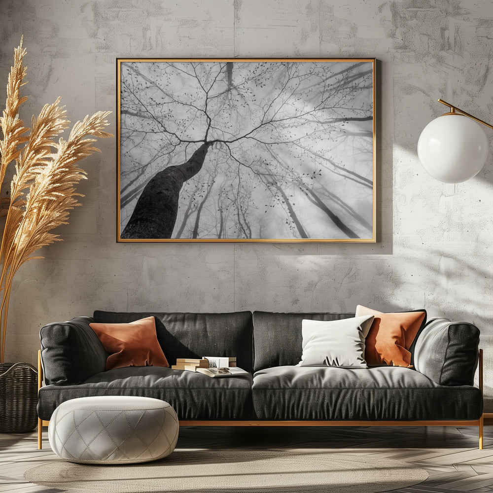 Een blik op de boomkroon | Canvas