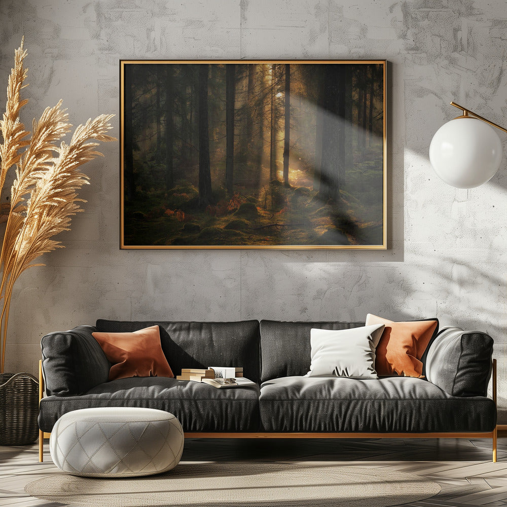 Het licht in het bos | Poster