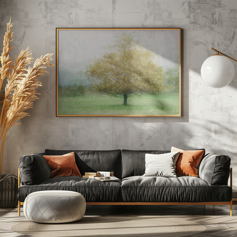 Solitaire | Canvas