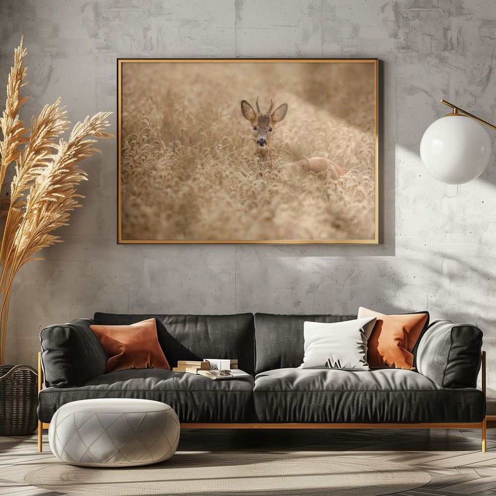 Deer in the field | Canvas