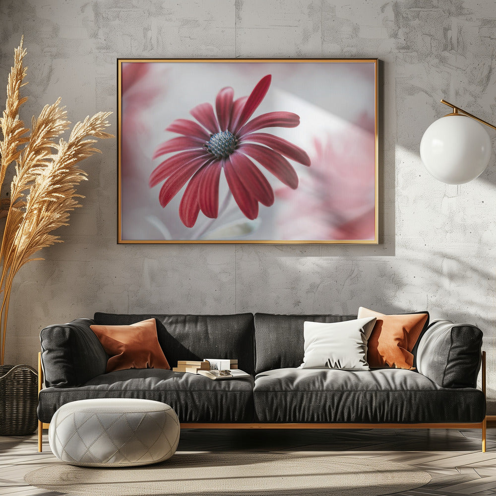 Madeliefje | Canvas