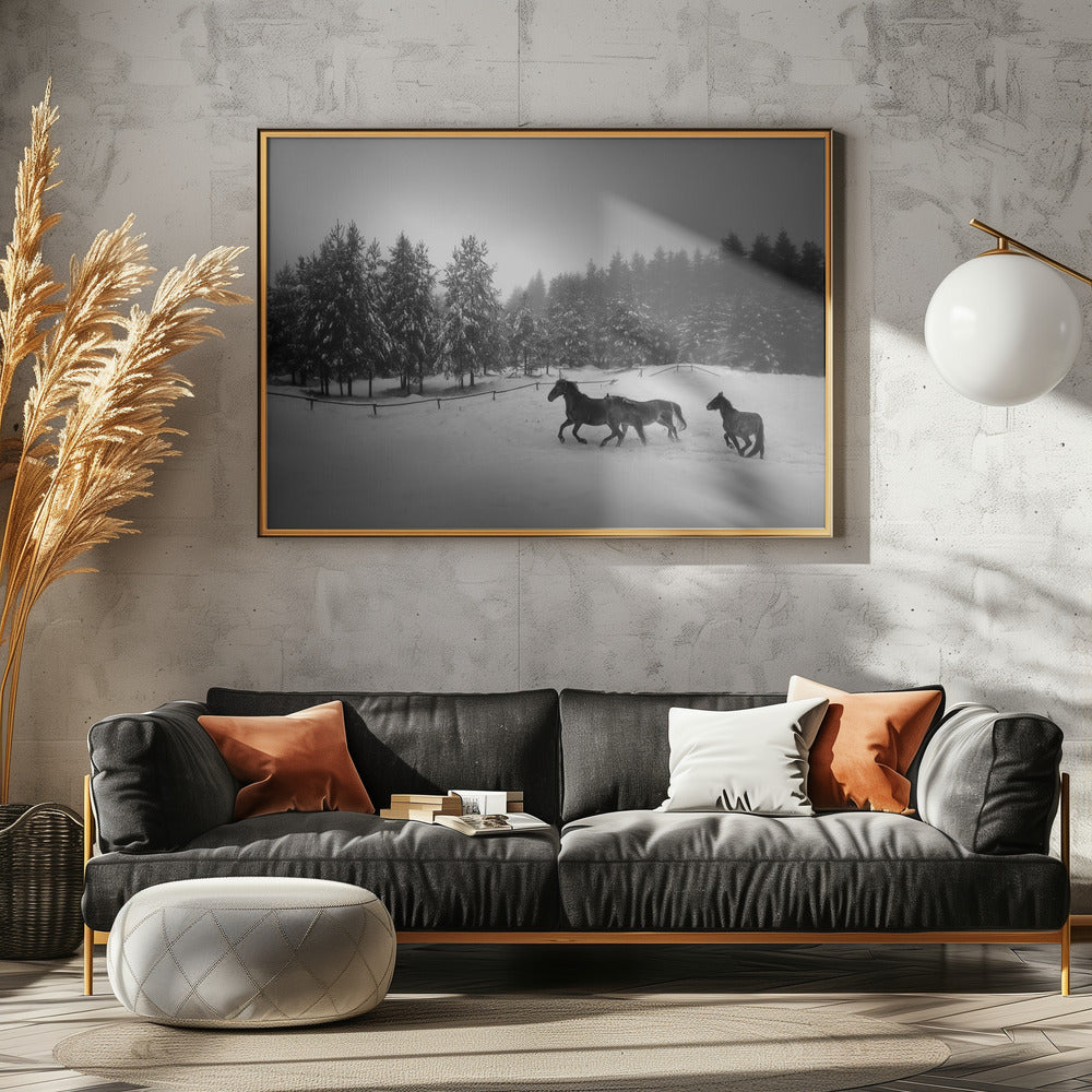 Untitled | Canvas