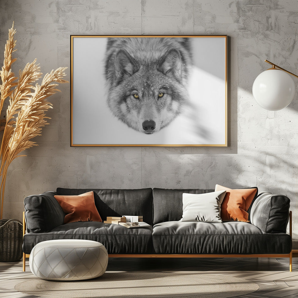 Gele ogen - Timber Wolf | Canvas