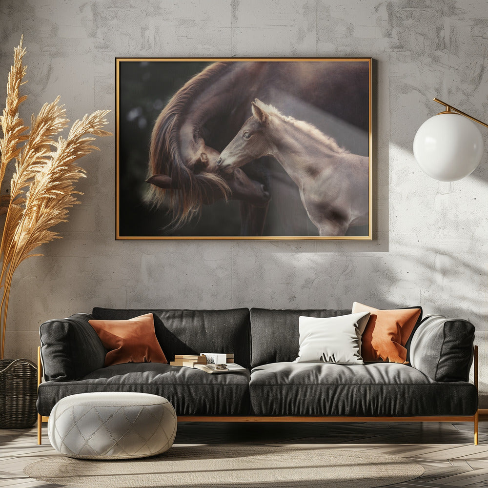 De Bond | Canvas