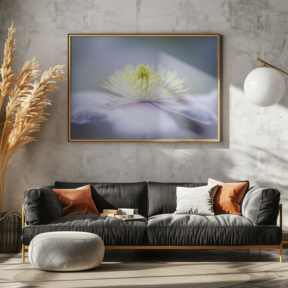 Mayleen | Canvas
