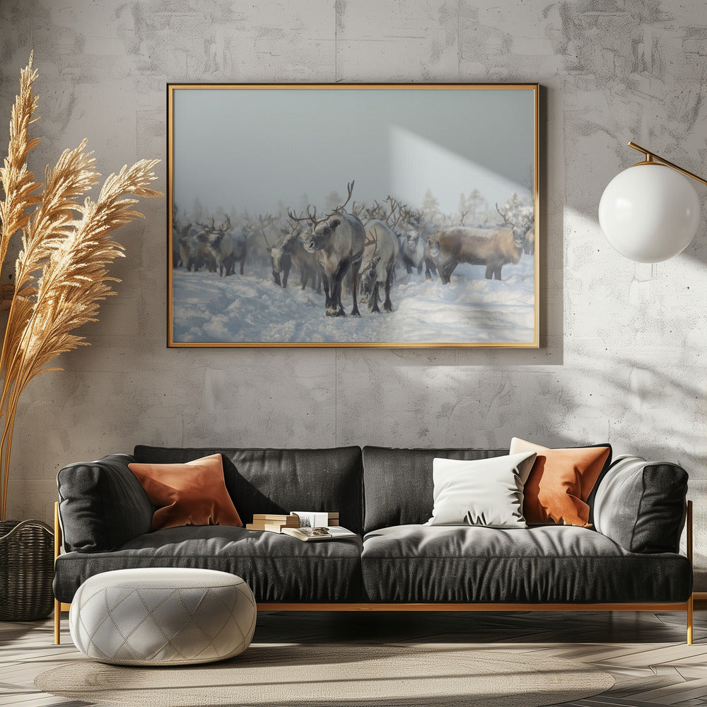 Reindeers | Canvas