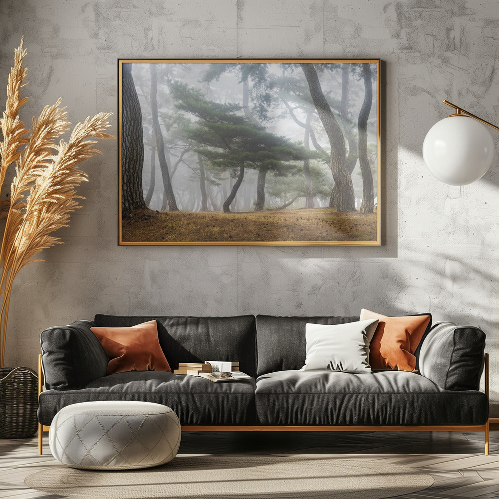 In The Misty Pine Forest | Canvas