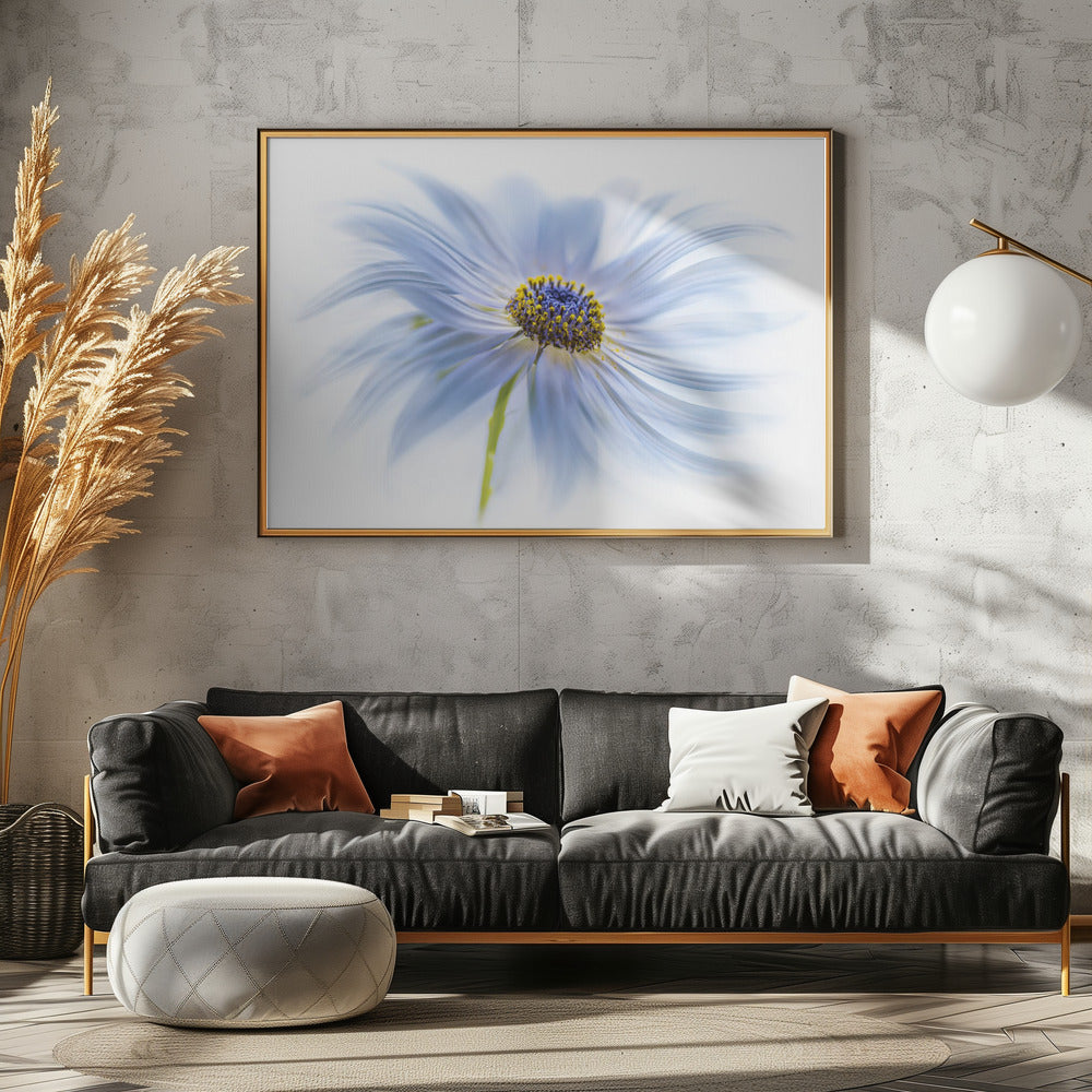 Madeliefjesgenot | Canvas