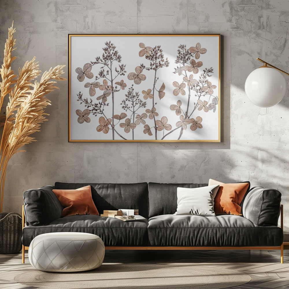 Hydrangea paniculata | Canvas