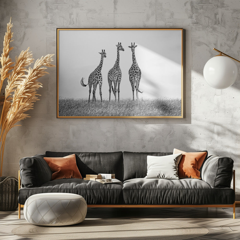 Giraffen in de Mara-vlakten | Poster