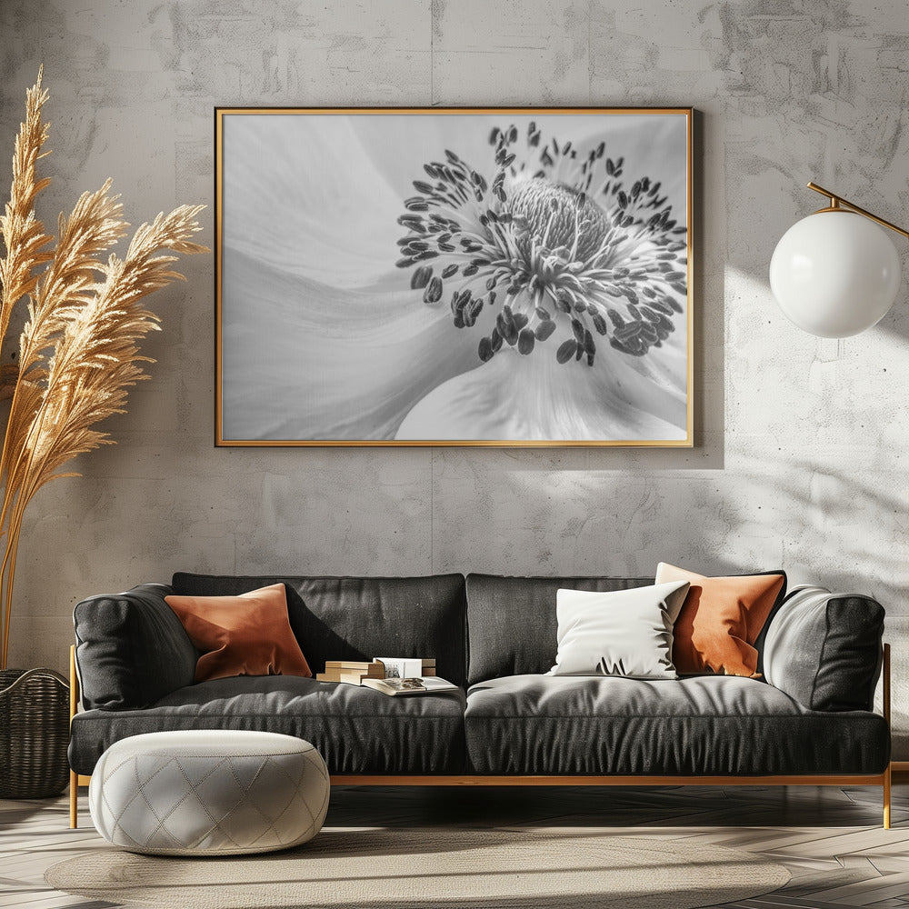 Anemone | Canvas