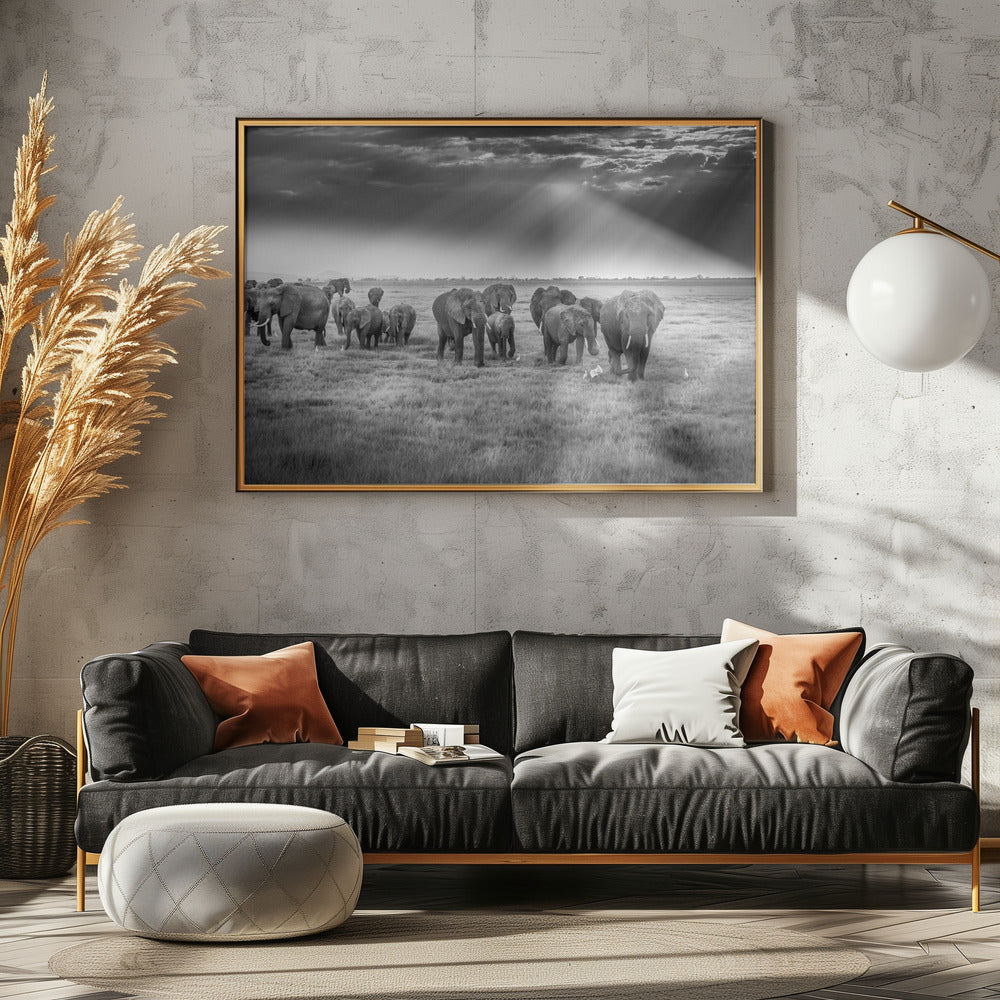 Ontbijt met dikhuiden | Canvas