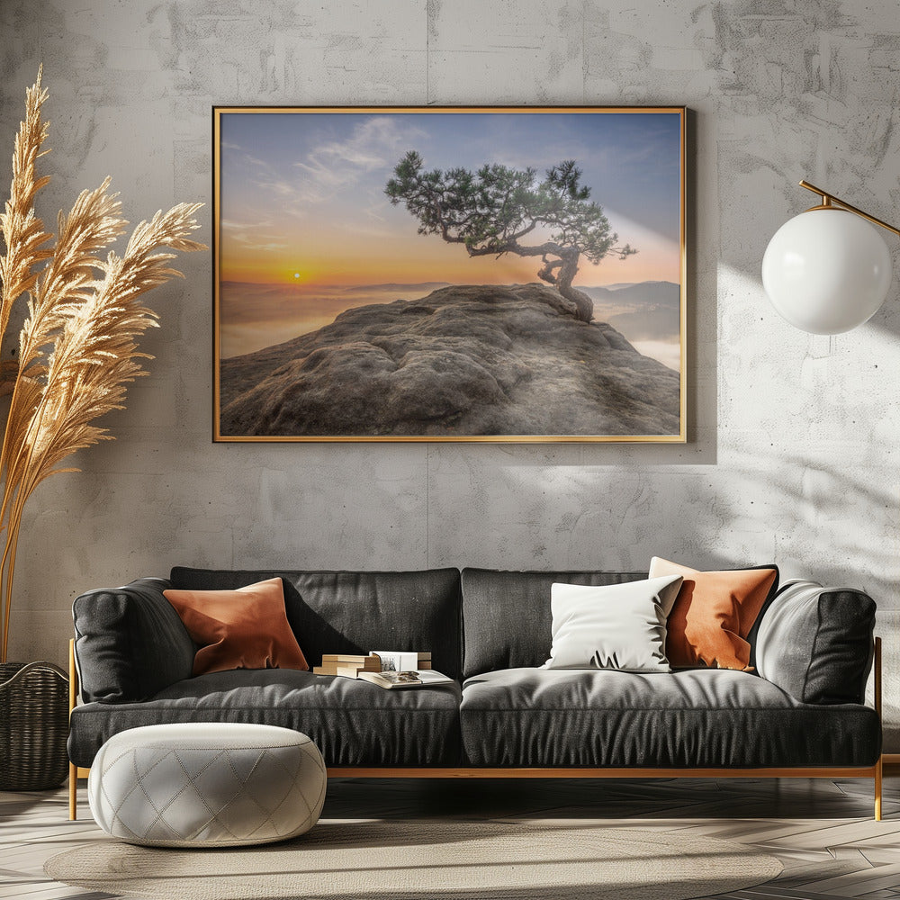 Oude den | Poster
