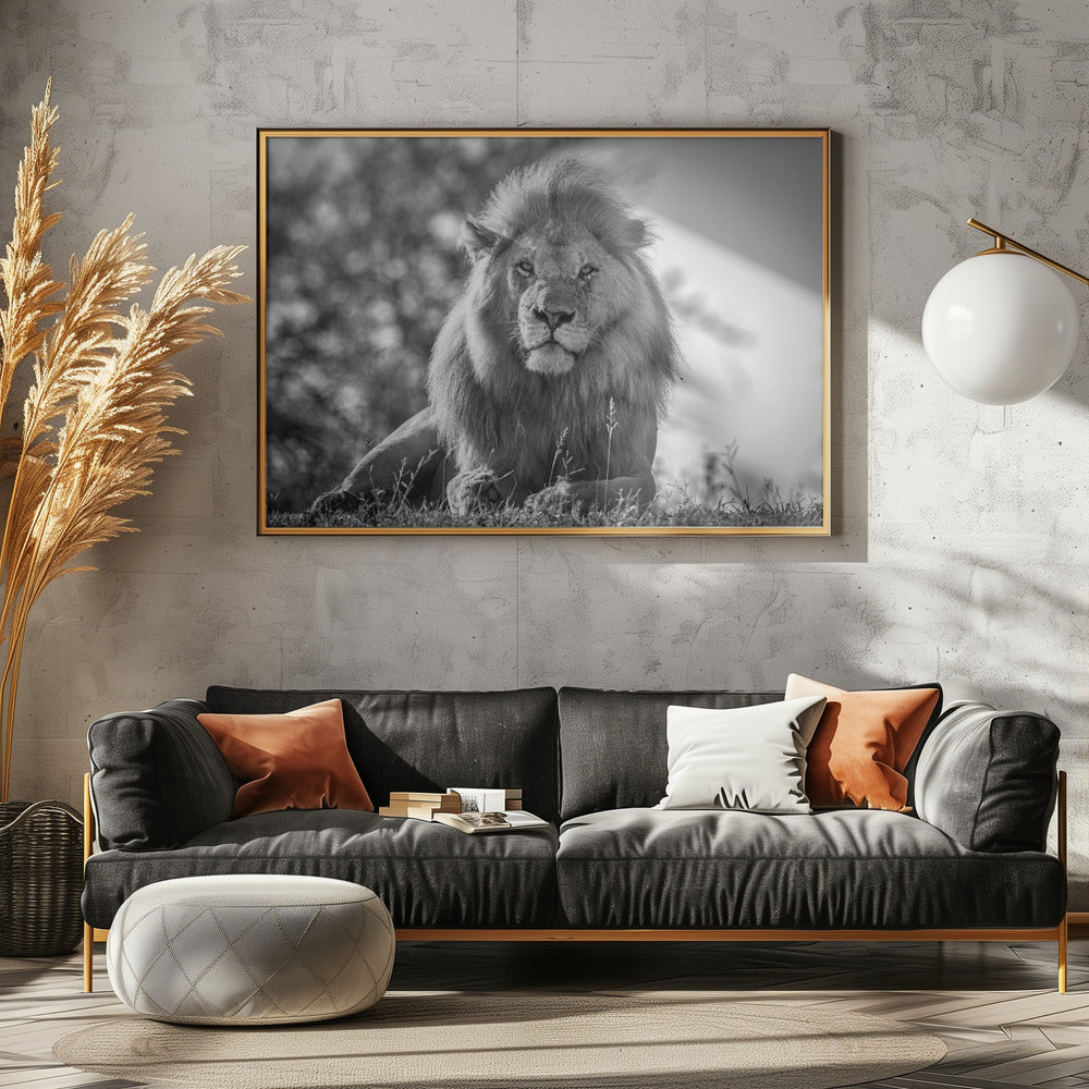 Monochromatische leeuwenkoning | Canvas