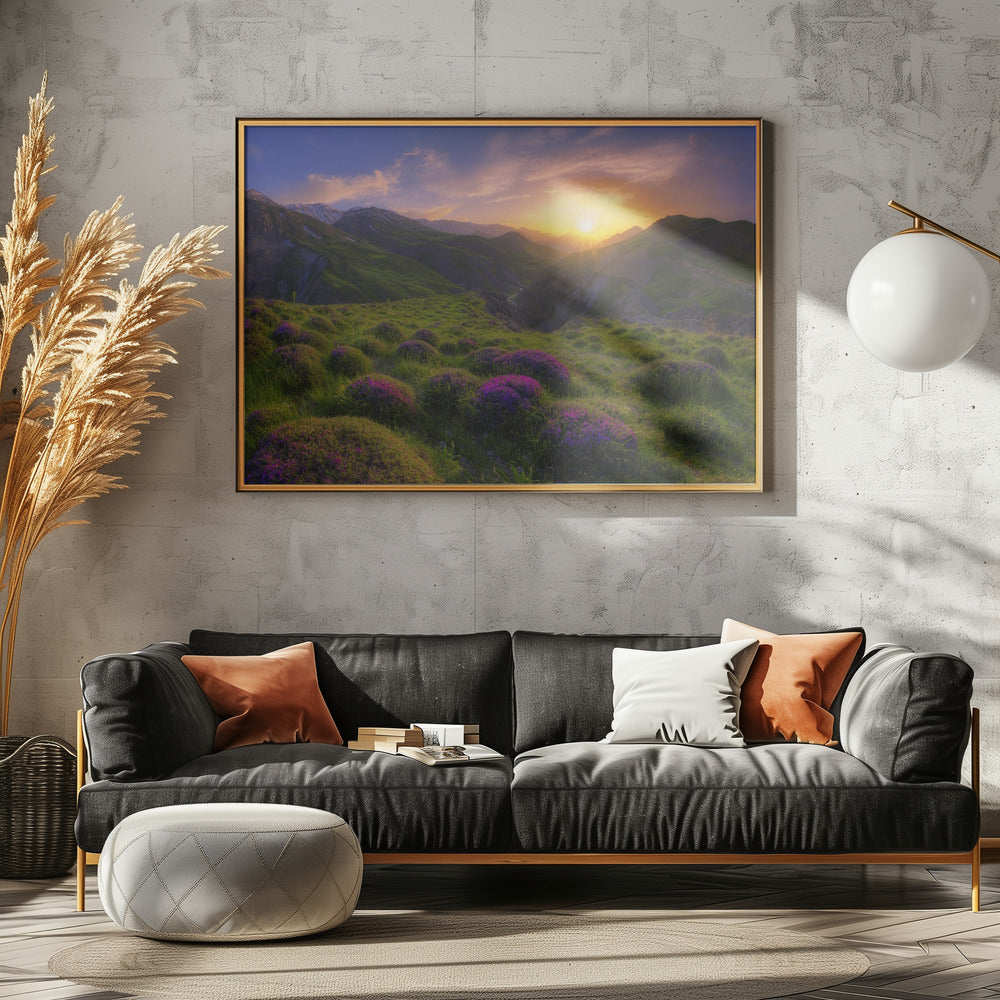 lente in show | Poster