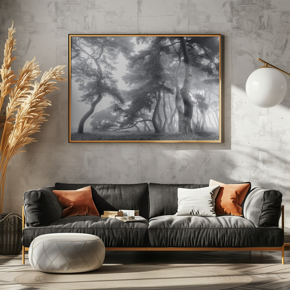 Honderd jaar volhouden | Canvas