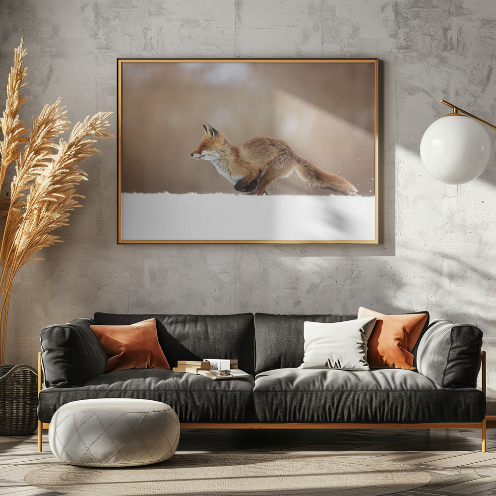 Red Fox | Poster