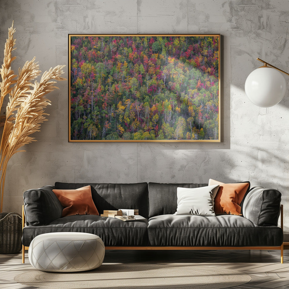 Color palette | Poster