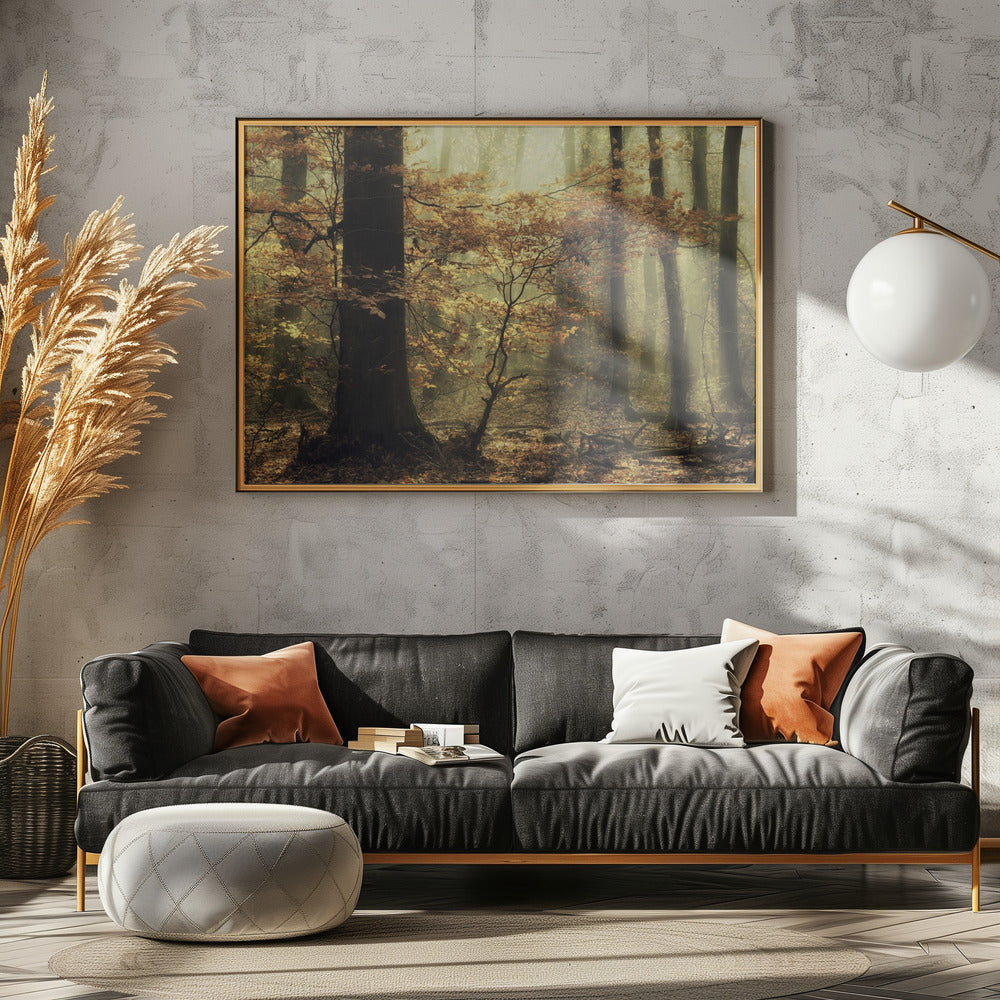 Zachte val | Poster