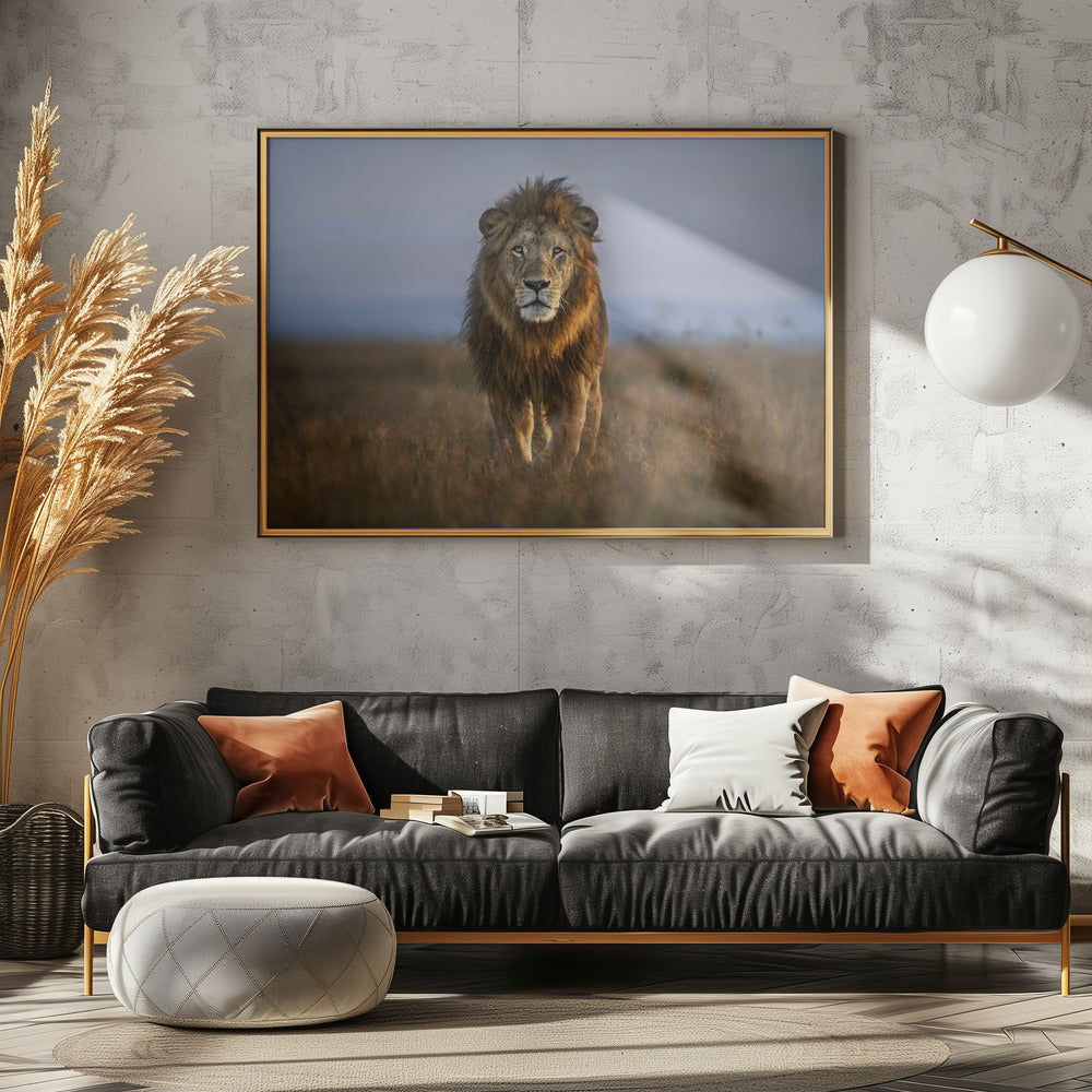 Leeuw van dichtbij | Canvas