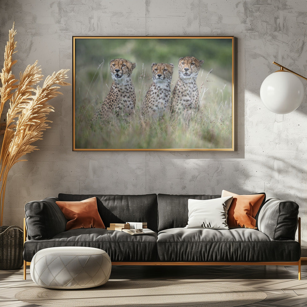 Cheetawelpen | Canvas