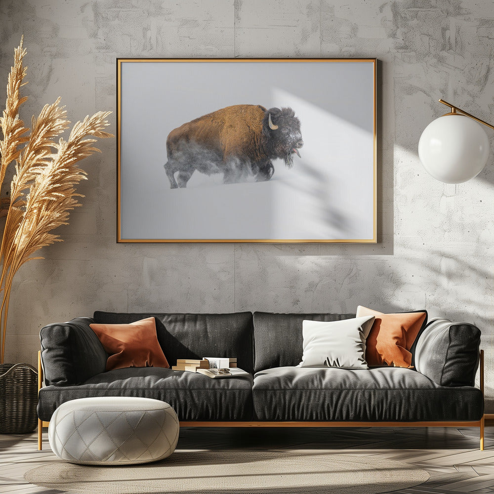 Bizon in de sneeuw | Poster