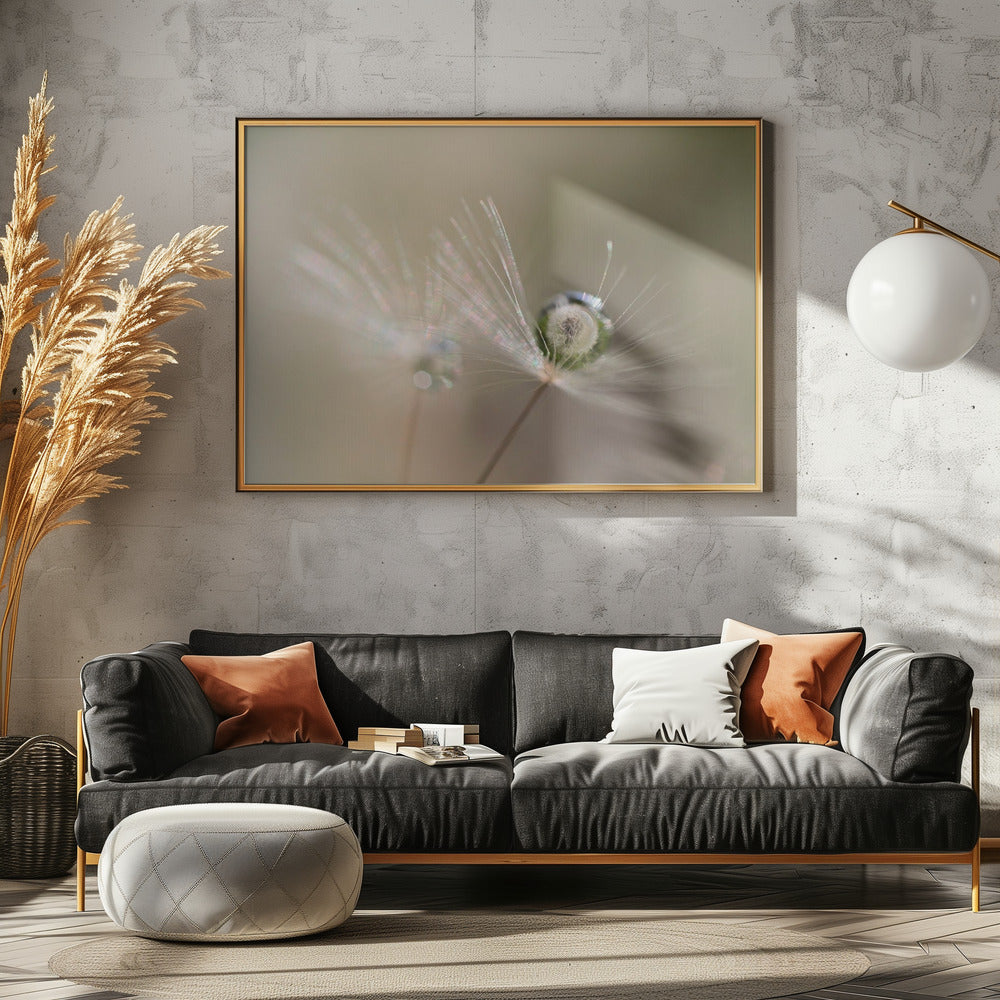 Ster van paardenbloem | Canvas