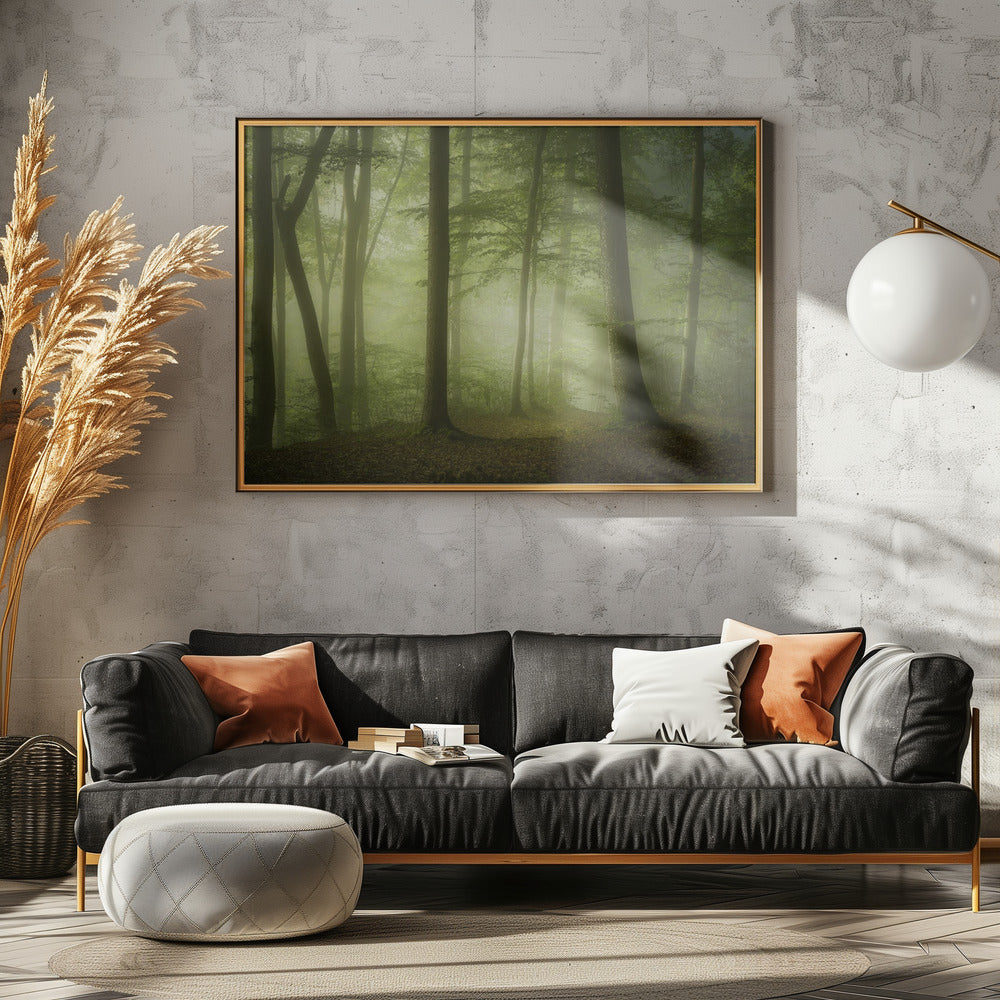 Mysterieuze lentemorgen | Canvas