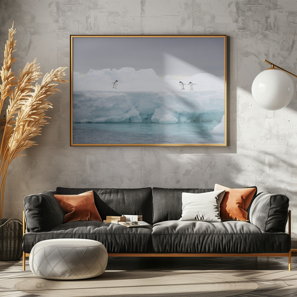 Het Podium | Canvas