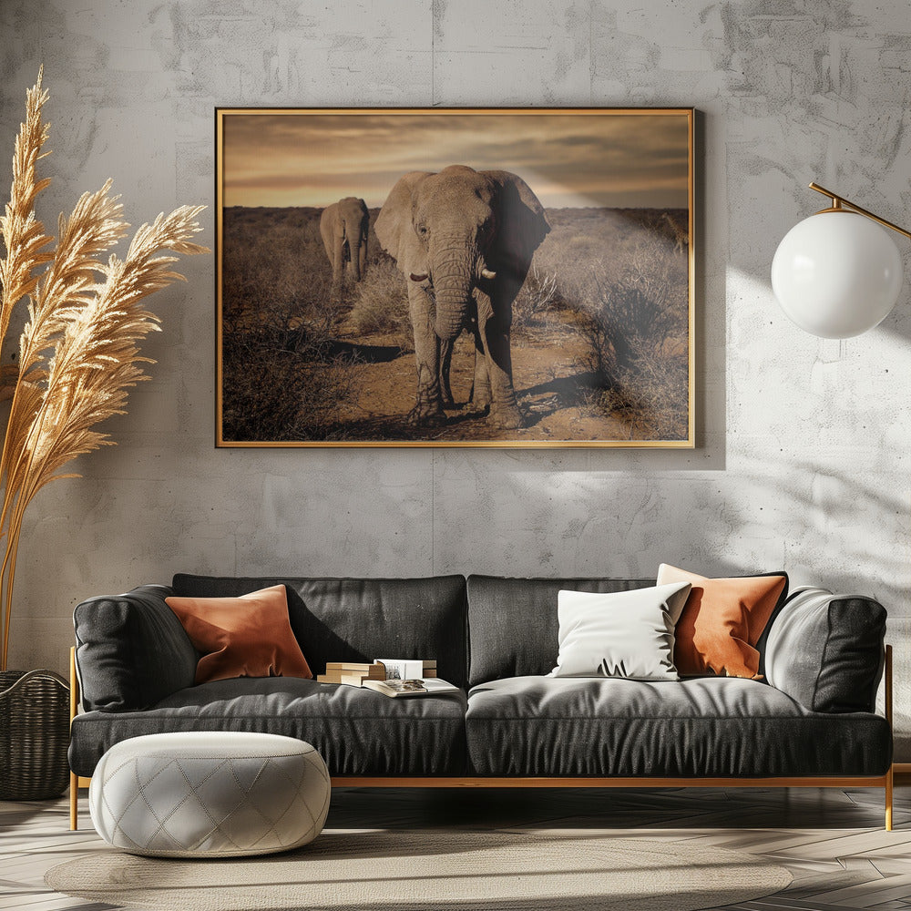 Grote | Poster
